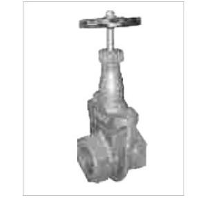 Sant Cast Iron Gate Valve All Iron Solid Wedge 80 mm, CI 13